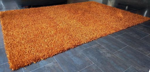 Living Carpets Hand Knotted High Pile Carpet