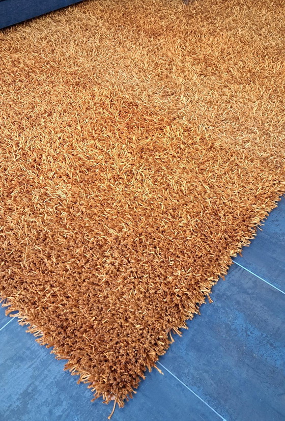 Image 1 of Living Carpets Hand Knotted High Pile Carpet