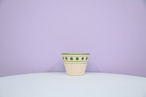 Beige Flower Pot Green Dots