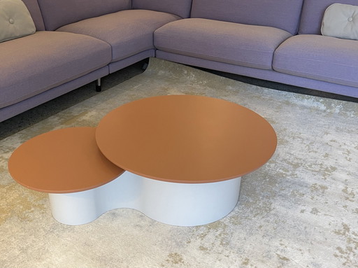 Leolux Pode Flowy Coffee Table