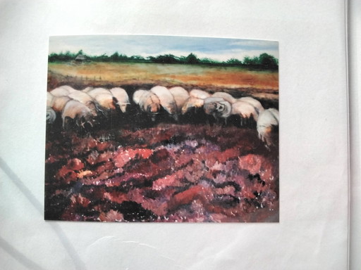 Tineke van Steenbergen - Moutons sur la lande à Blaricum