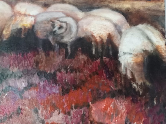 Image 1 of Tineke van Steenbergen - Moutons sur la lande à Blaricum