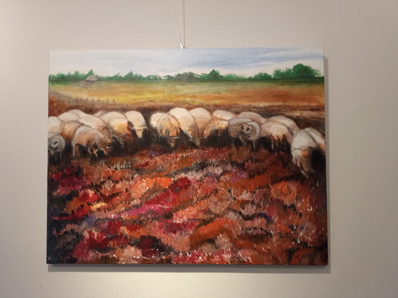 Image 1 of Tineke van Steenbergen - Moutons sur la lande à Blaricum