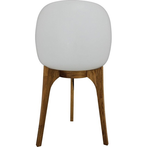 Lampada vintage in vetro e legno di quercia, anni '70