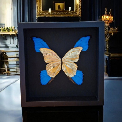 Real Butterflies Mounted And Gilded With 23Ct Gold - Taxidermy Artwork In Frame