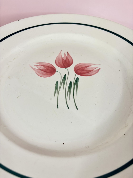 Image 1 of Soup Tureen In Givors Earthenware Flora Model
