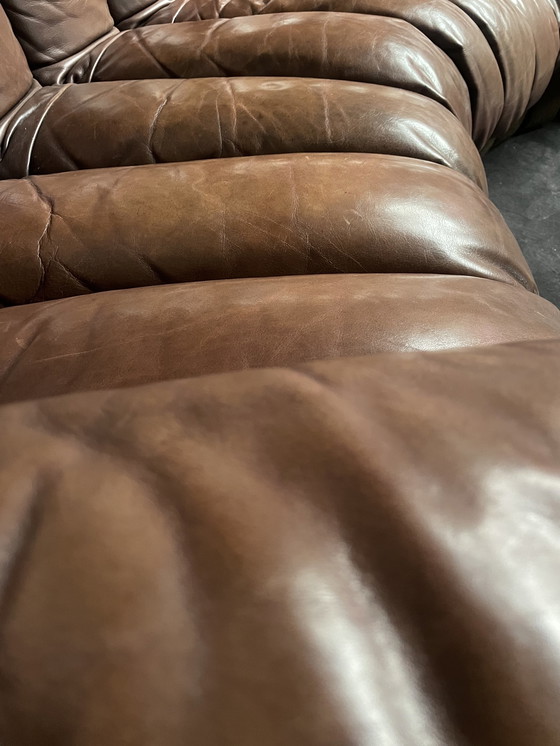 Image 1 of De Sede Ds600 Snake Sofa