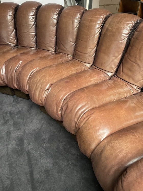 Image 1 of De Sede Ds600 Snake Sofa