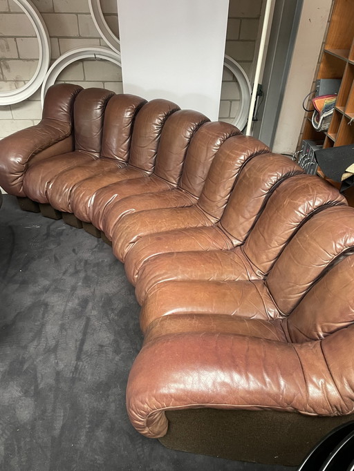 De Sede Ds600 Snake Sofa