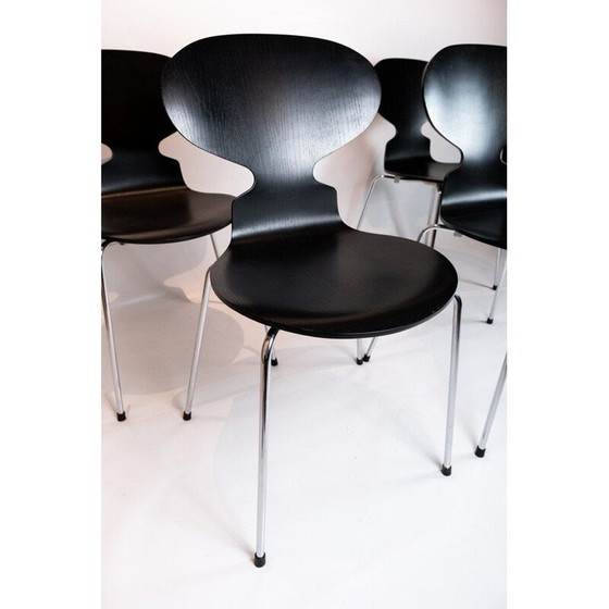 Image 1 of Lot of 4 vintage chairs model 3101 by Arne Jacobsen by Fritz Hansen 2006