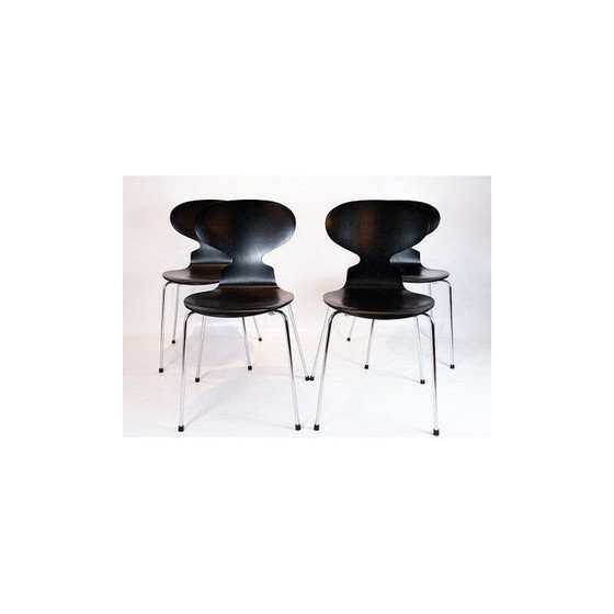 Image 1 of Lot of 4 vintage chairs model 3101 by Arne Jacobsen by Fritz Hansen 2006