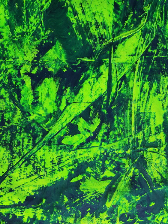 Image 1 of Jürgen Angeler - Atmosphère de la jungle