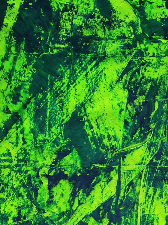 Image 1 of Jürgen Angeler - Atmosphère de la jungle