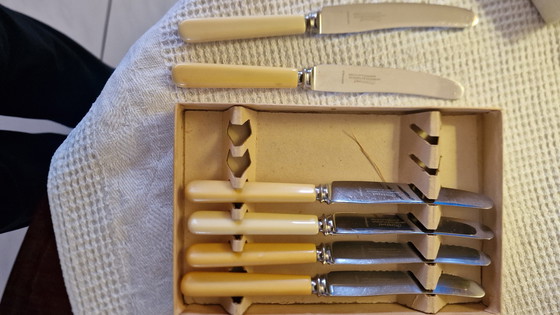 Image 1 of 6x Vintage Sheffield Fruit Knives With Bone Handle