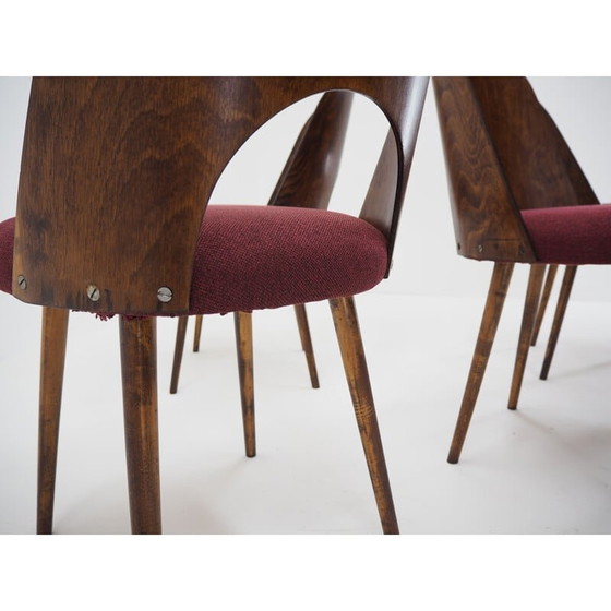 Image 1 of Set di 4 sedie da pranzo vintage in faggio Oswald Haerdtl per TonThonet, Cecoslovacchia, anni '60