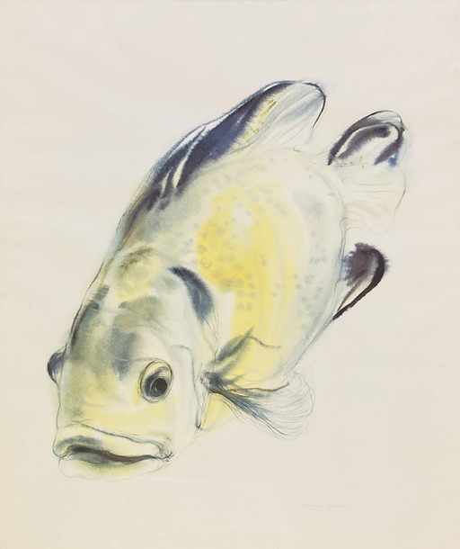 Klaus Meyer-Gasters - Vintage Watercolor Print Fish - With Frame