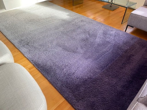 Millenerpoort Carpet, Model Corso 45