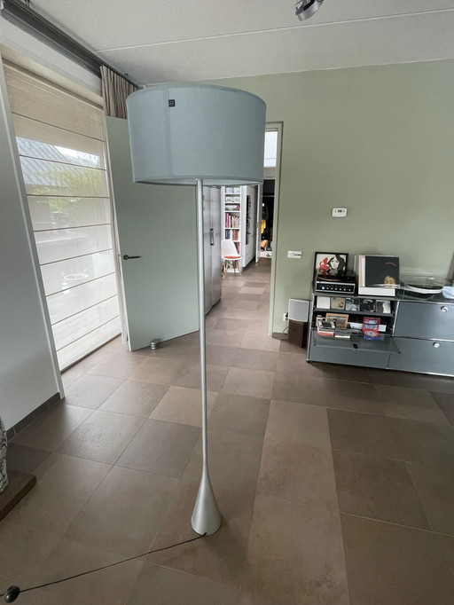 Ligne Roset Floor Lamp