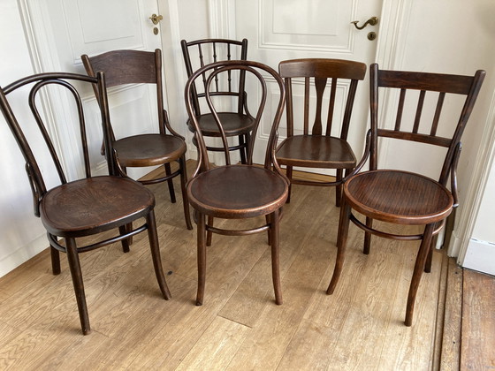 Image 1 of 6X Selected Thonet Chairs