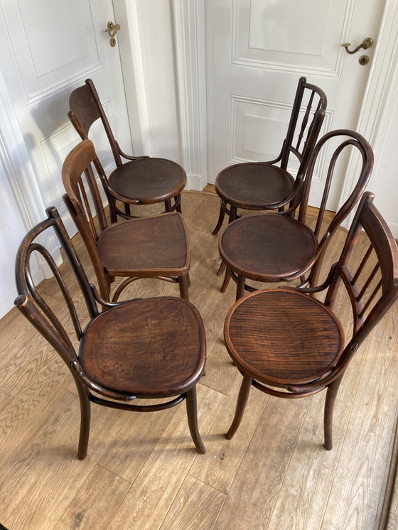 Image 1 of 6X Selected Thonet Chairs