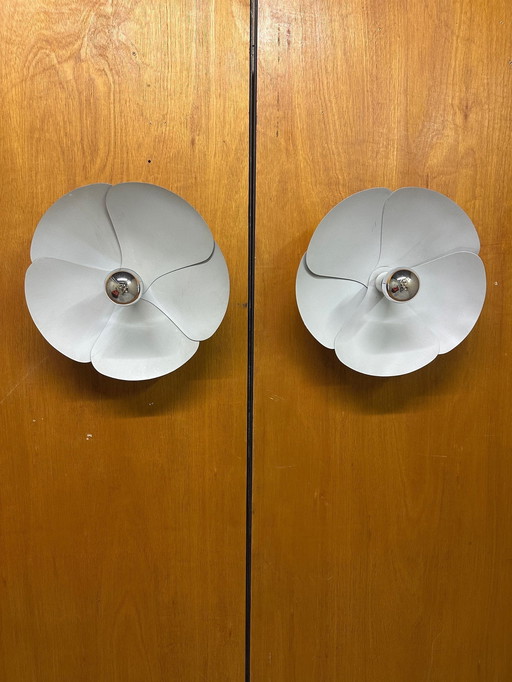 Coppia di lampade da parete Olive Blossom di Mourgue