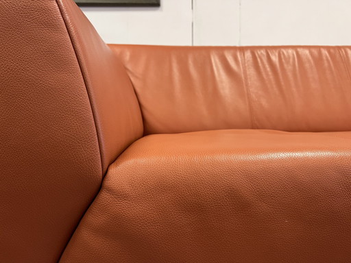 Rolf Benz Linea sofa Terra Leather