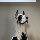 Dalmata d'epoca in ceramica