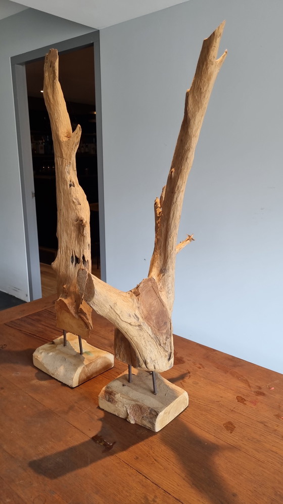 Image 1 of Ornaments Of Driftwood