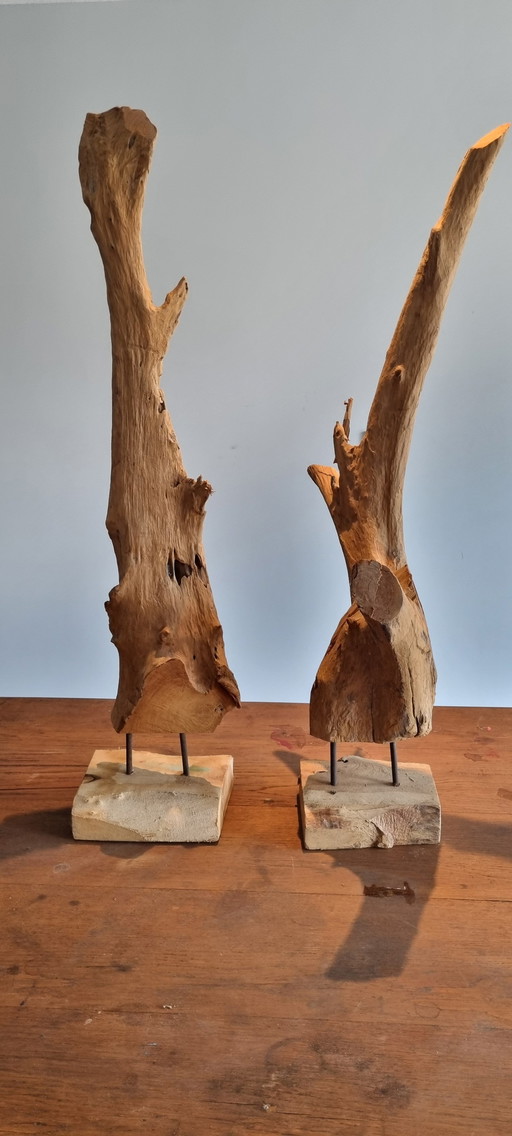 Ornaments Of Driftwood