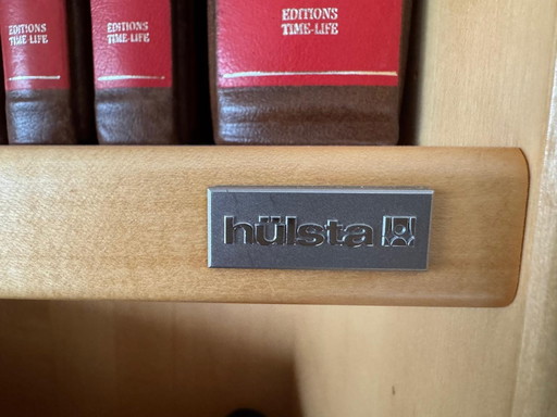 Hülsta Bookshelf In Great Condition