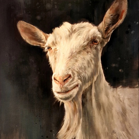 Image 1 of Nanouk Weijnen White goat