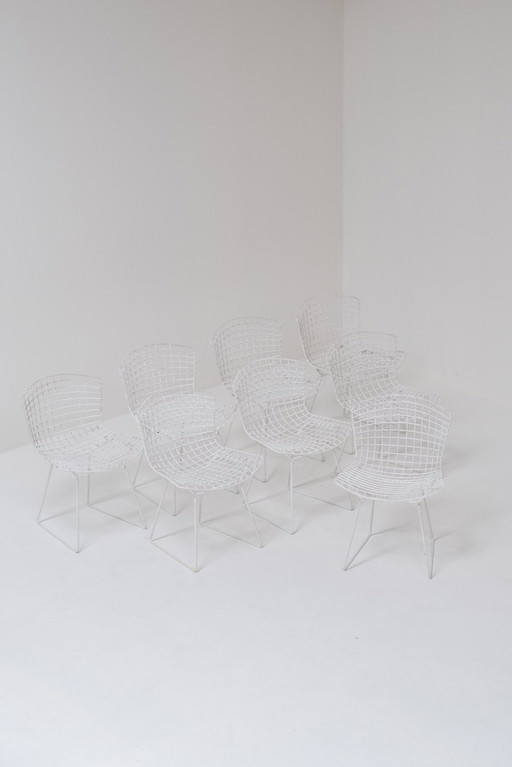 Set Of 8 Bertoia Dining Chairs