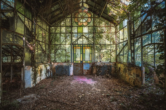 Image 1 of Jef Peeters - Abandoned Greenhouse