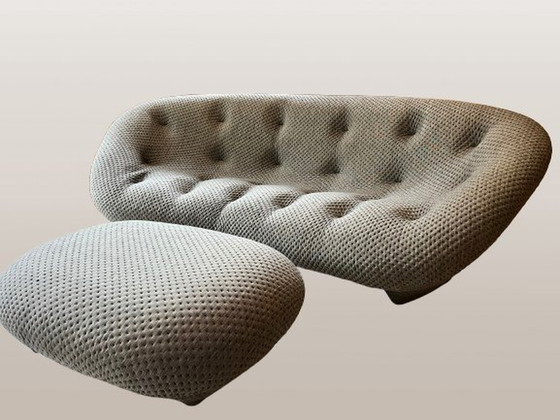 Image 1 of Ligne Roset E & B Ploum Canapé & Pouf