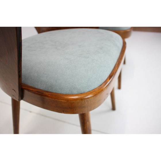 Image 1 of Vintage beechwood dining chair, Czechoslovakia 1960s