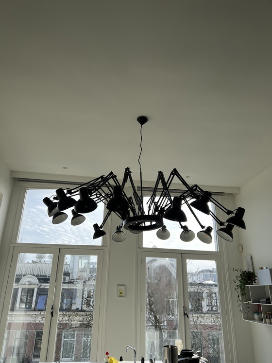 Image 1 of Dear Ingo Moooi Ceiling Light