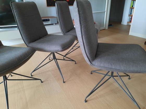 Image 1 of 4X Rolf Benz 606 Dining Chair