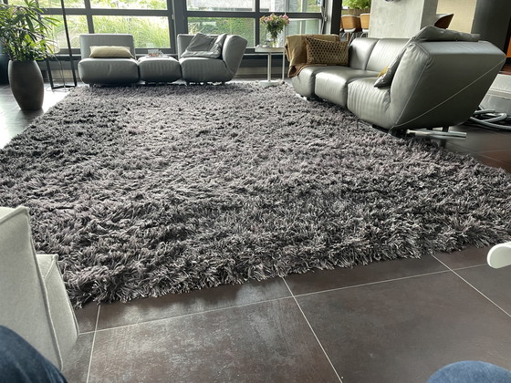 Image 1 of Tapis Millenerpoort grand