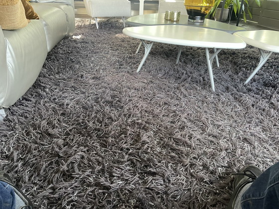 Image 1 of Tapis Millenerpoort grand