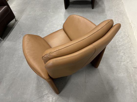 Image 1 of Leolux Catalpa Armchair Almond Leather