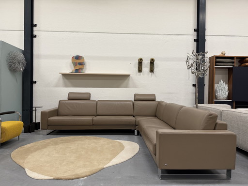 Rolf Benz Sofas | Whoppah Rolf Benz Sofas | Whoppah