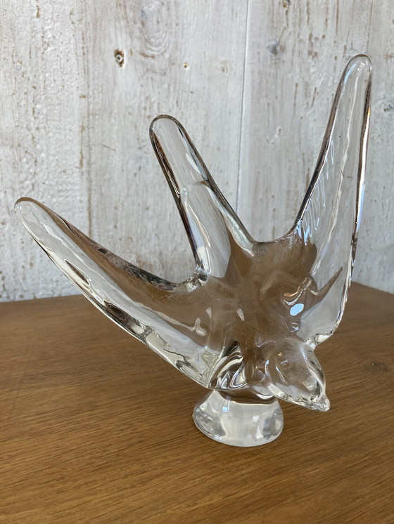 Image 1 of Golondrina de cristal