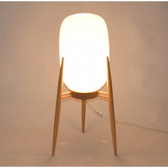 Image 1 of Vintage floor lamp No. 4159 in wood and glass by Úluv, Czechoslovakia 1960