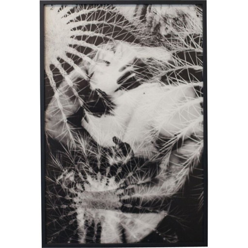 Cuadro vintage Movimientos Naturales 12 de Meïdhy Bichon, 2019