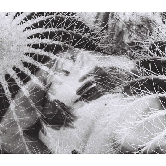 Image 1 of Vintage painting Natural Movements 12 by Meïdhy Bichon, 2019