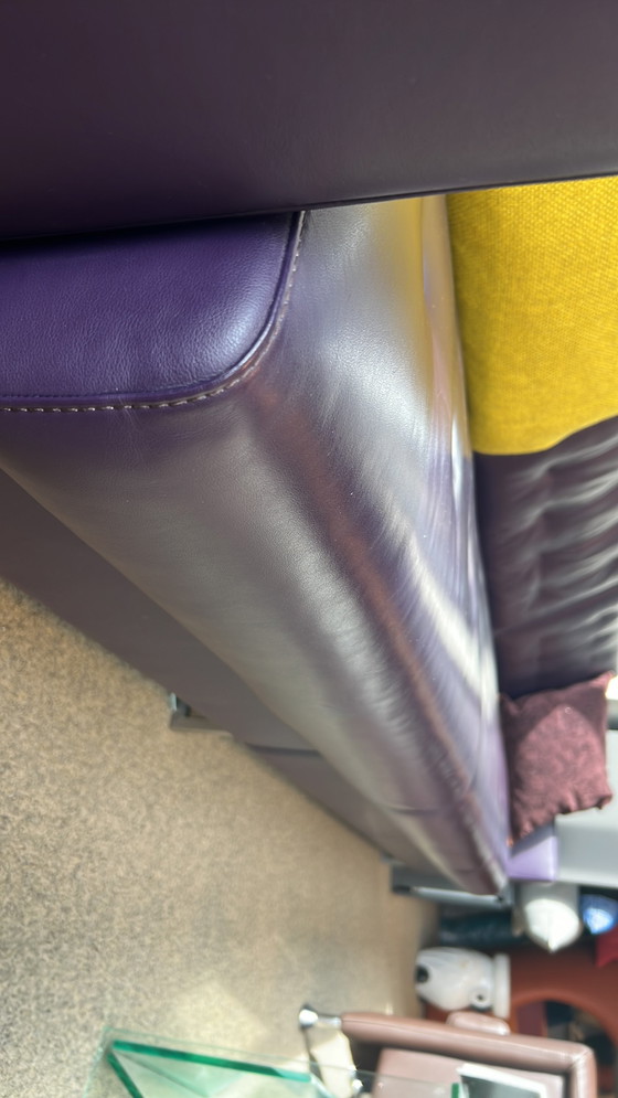 Image 1 of Leolux Cuno Sofa purple leather 290