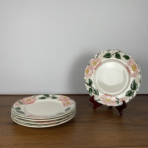 Set Of 5 Flat Plates Villeroy & Boch “Wild Rose” Service, 1970