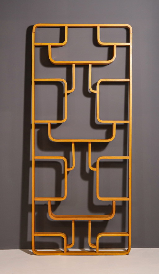 Mid-Century Divider By Ludvik Volak From Drevopodnik Holesov, 1970S