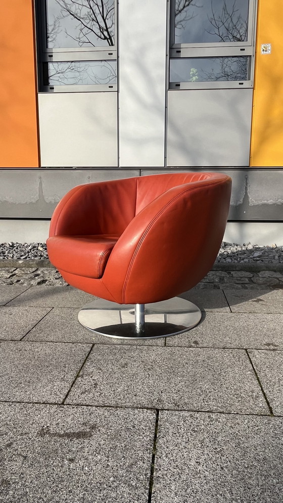 Image 1 of Sedia girevole Koinor Design in pelle perla bordeaux-rosso