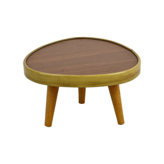 Image 1 of Miniature Plant Table Formica